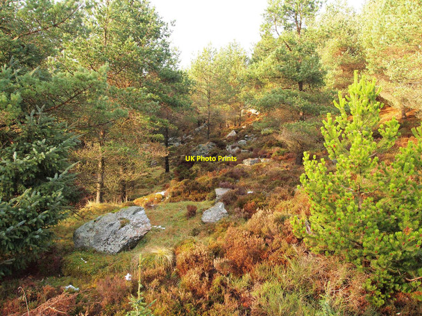 Photo 6"x4" Hillside above Loch Kennard Loch Kennard c2010