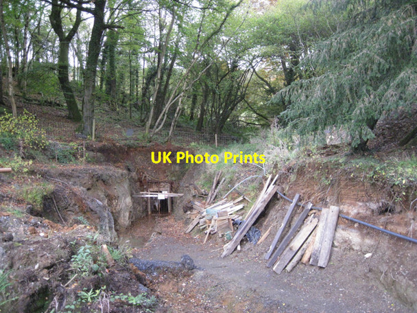 Photo 6"x4" Adit below Canonteign Lower Ashton c2010