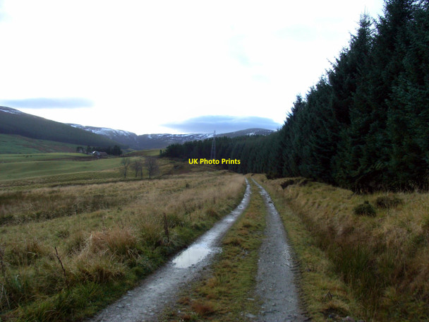 Photo 6"x4" Lynemore Farm track Roughpark c2010