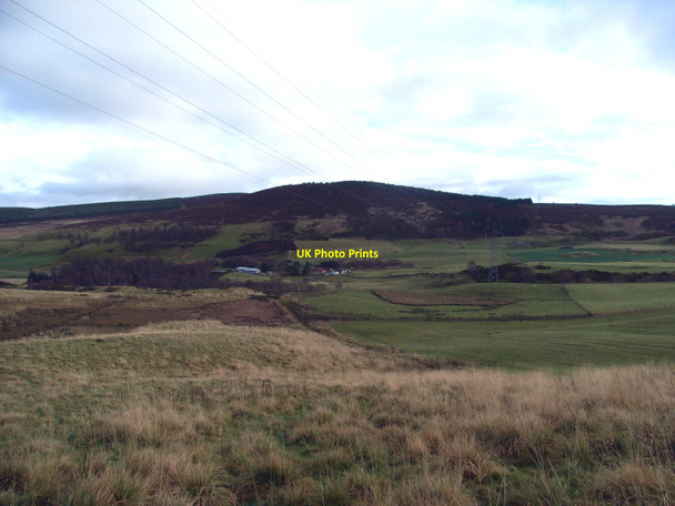 Photo 6"x4" Birkford Farm Roughpark c2010