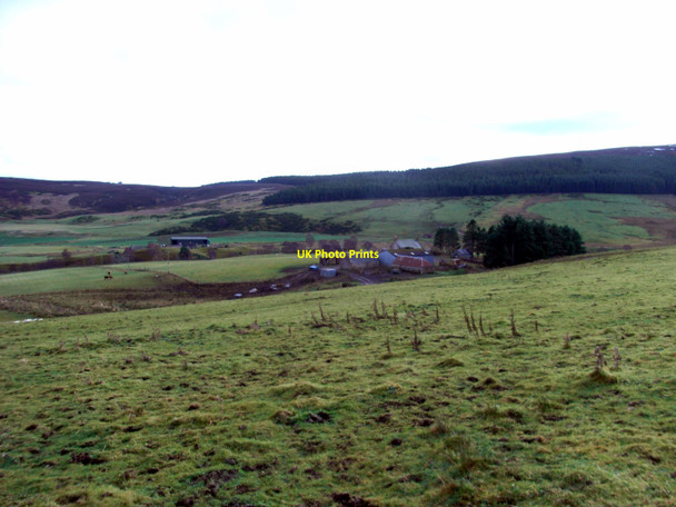 Photo 6"x4" Lynemore Farm Roughpark c2010