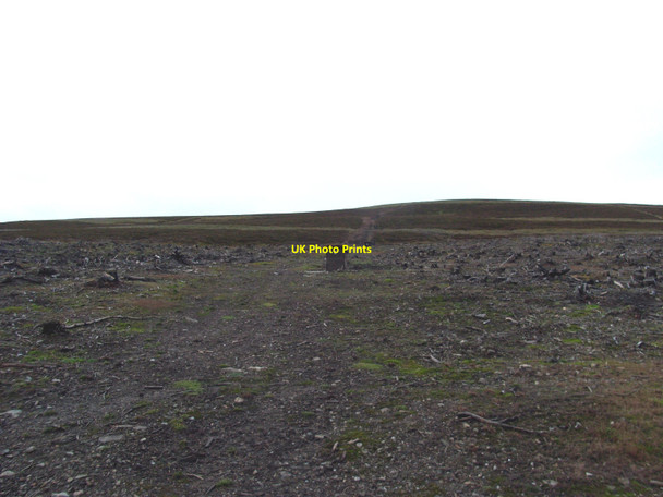 Photo 6"x4" Meikle Charsk Hill Butts Meikle Charsk Hill c2010