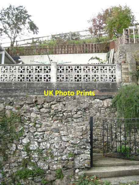 Photo 6"x4" Hillside garden, 'Brends', Lower Ashton Lower Ashton c2010