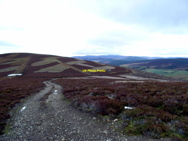 Photo 6"x4" Meikle Charsk Hill Meikle Charsk Hill c2010