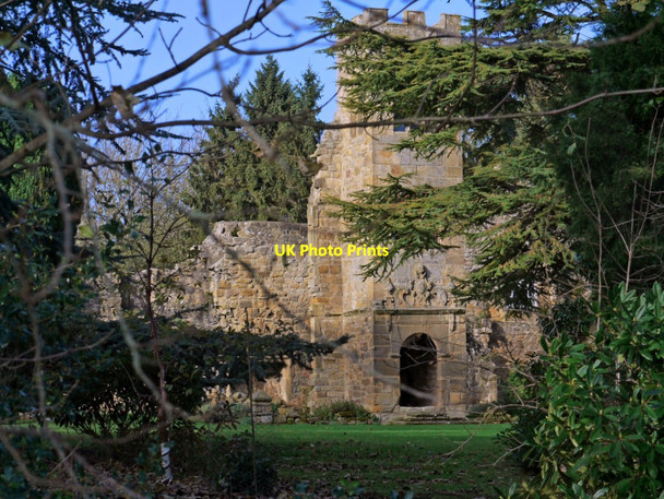 Photo 6"x4" Ruins of Old Manor House, Mitford Mitford c2010