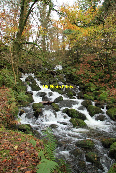 Photo 6"x4" Burrator Waterfall Sheepstor c2010