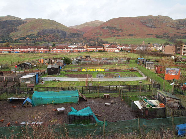 Photo 6"x4" Tillicoultry allotments Tillicoultry c2010