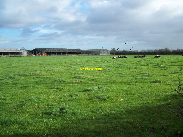 Photo 6"x4" Footpath Near Egginton Church Clay Mills c2010
