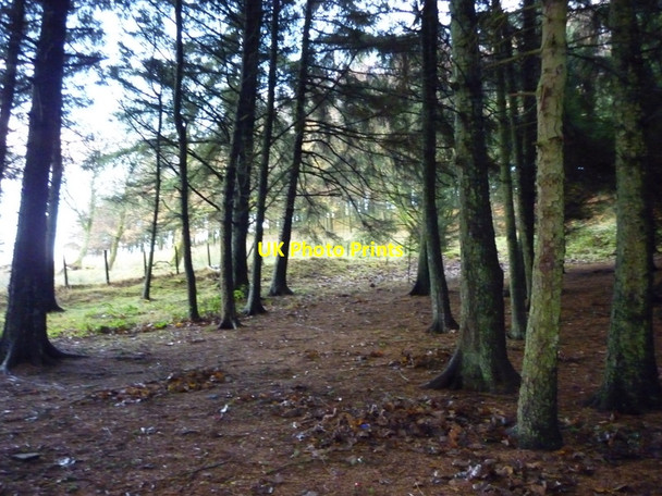 Photo 6"x4" A footpath heading towards Dean Clough Reservoir Great Harwood c2010