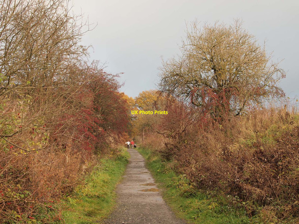 Photo 6"x4" Devon Way footpath Dollar c2010