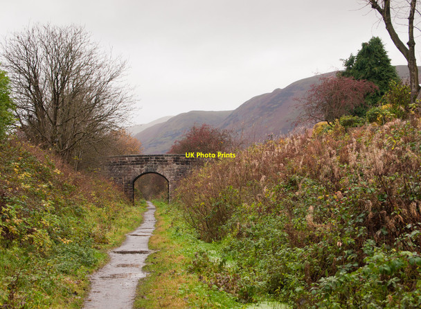 Photo 6"x4" Devon Way Dollar c2010 P1