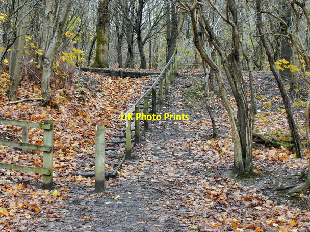 Photo 6"x4" Moses Gate Country Park Farnworth\/SD7305 c2010