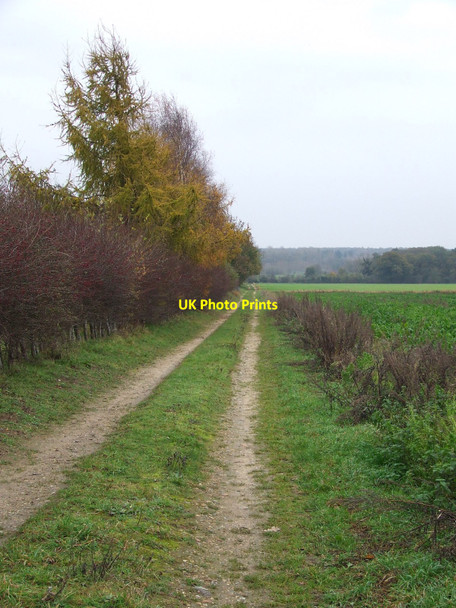 Photo 6"x4" Farm Track Bridgham c2010