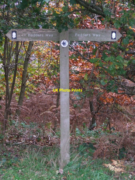 Photo 6"x4" Finger Post Bridgham c2010
