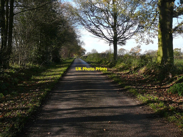Photo 6"x4" Back lane, Arley Hall Arley c2010