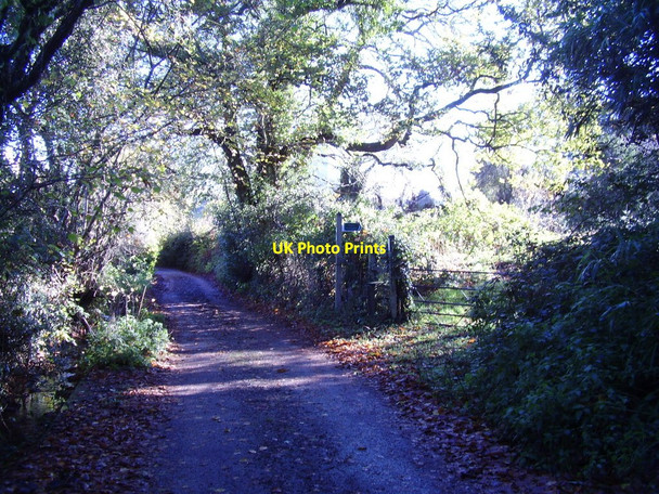 Photo 6"x4" A footpath at Southerton Southerton c2010