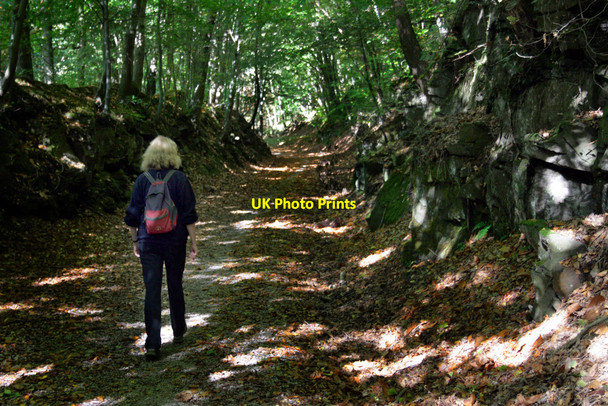 Photo 6"x4" Walk through the Cutting Ellwood c2010