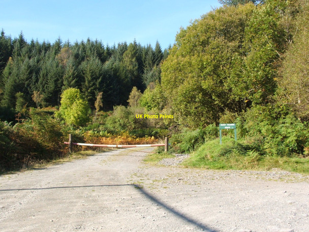 Photo 6"x4" Footpath junction in Loch Ard Forest Gartmore c2007