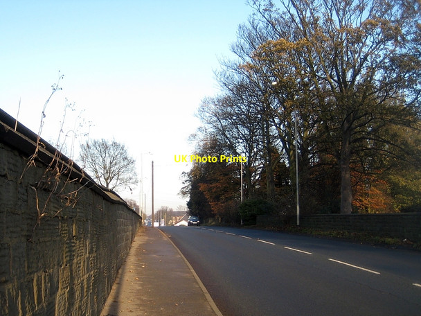 Photo 6"x4" Felled trees, Stanley churchyard (1) Stanley\/SE3424 c2010