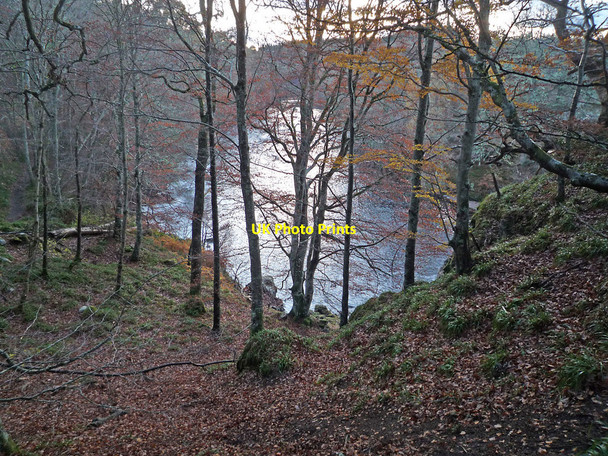 Photo 6"x4" Viewpoint over River Findhorn at Logie Steading Logie\/NJ0150 c2010