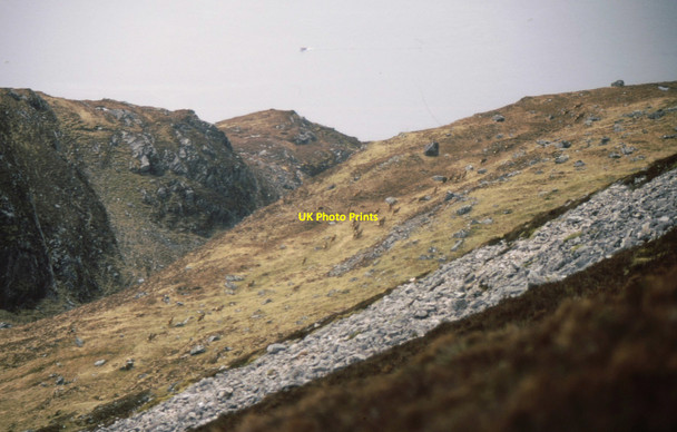 Photo 6"x4" Red deer above Creag an Fhithich Arnisdale c1995