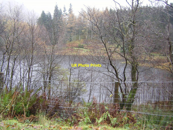 Photo 6"x4" Small Lochan seen through trees, Glen Coe Glencoe\/NN1058 c2010