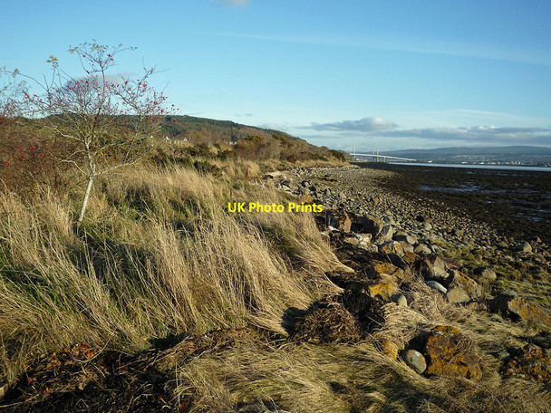 Photo 6"x4" Shoreline of Beauly Firth near Torgorm Point Balgunloune c2010