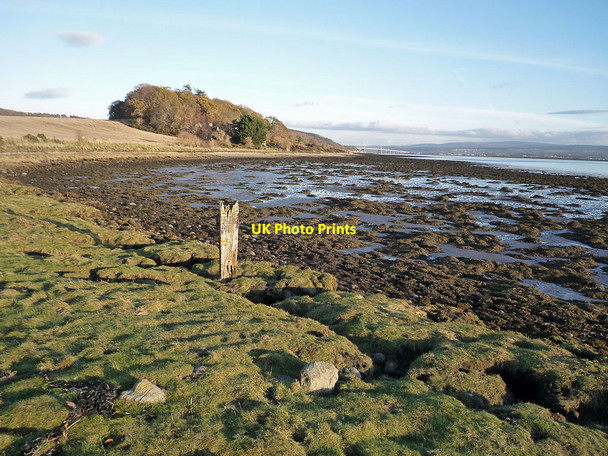 Photo 6"x4" Beauly Firth shore  Balgunloune c2010