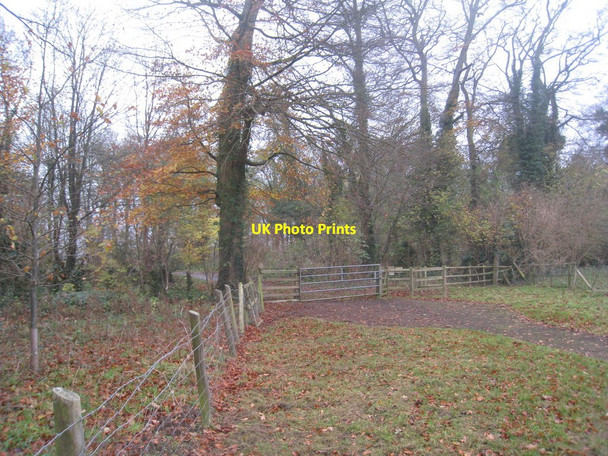 Photo 6"x4" The edge of Hackthorn Park Hackthorn\/SK9982 c2010