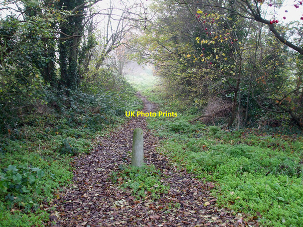 Photo 6"x4" Pathway or Road? Nevendon c2010