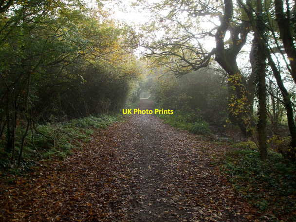 Photo 6"x4" Bridleway 150 Nevendon c2010 P1