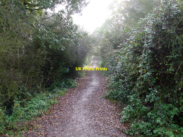 Photo 6"x4" Bridleway Junction Nevendon c2010 P2