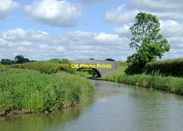 Photo 6"x4" The Ashby Canal near Carlton,  Leicestershire Carlton\/SK3905 c2010