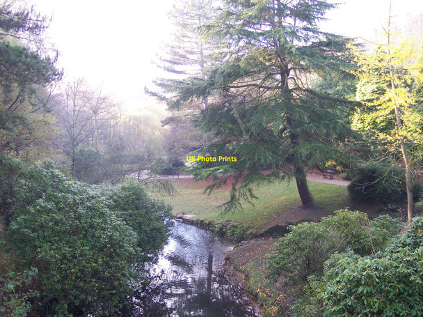 Photo 6"x4" Sefton Park Mossley Hill c2010