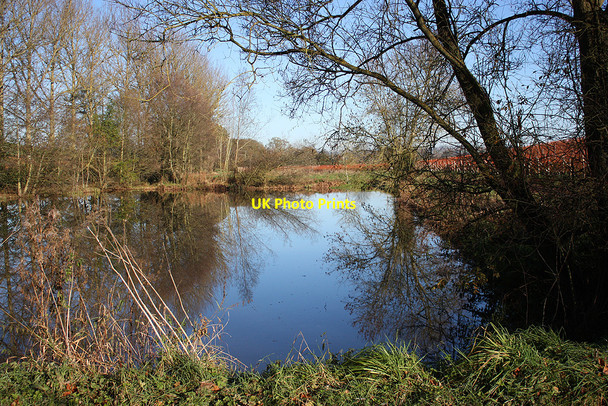 Photo 6"x4" Tranquil pond, November view Pontshill c2010