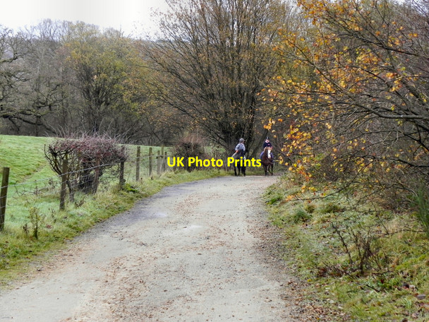 Photo 6"x4" Bridleway below Gleaves Reservoir Horrocks Fold c2010