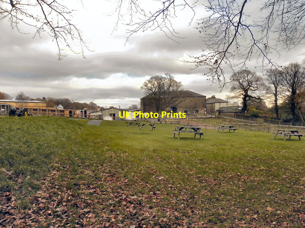 Photo 6"x4" Smithills Open Farm Astley Bridge c2010 P1