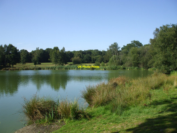 Photo 6"x4" Piltdown Pond, East Sussex Piltdown c2009