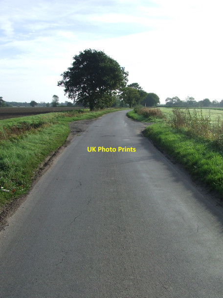 Photo 6"x4" Minor Road Colegate End c2010