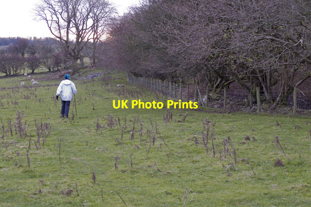 Photo 6"x4" Footpath through farmland Dalton\/SD5476 c2010