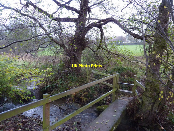 Photo 6"x4" Footbridge over Lindwaysprings Brook Wessington c2010