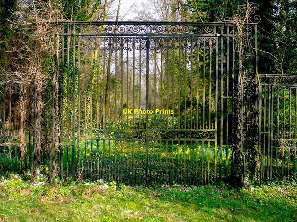 Photo 6"x4" Overgrown gates at Denton Manor Denton\/SK8632 c2009