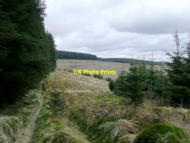 Photo 6"x4" Tywi Forest track on Cnwch Rhiwhalog, Ceredigion Cnwch Rhiwhalog c2010