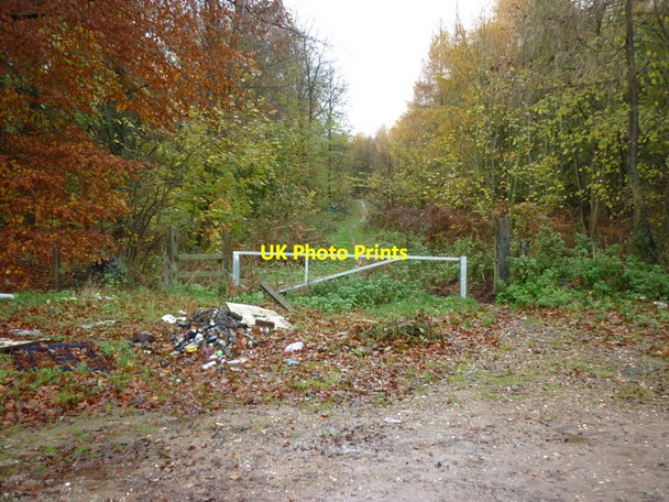 Photo 6"x4" A footpath into East Wood near Wressle Broughton\/SE9608 c2010