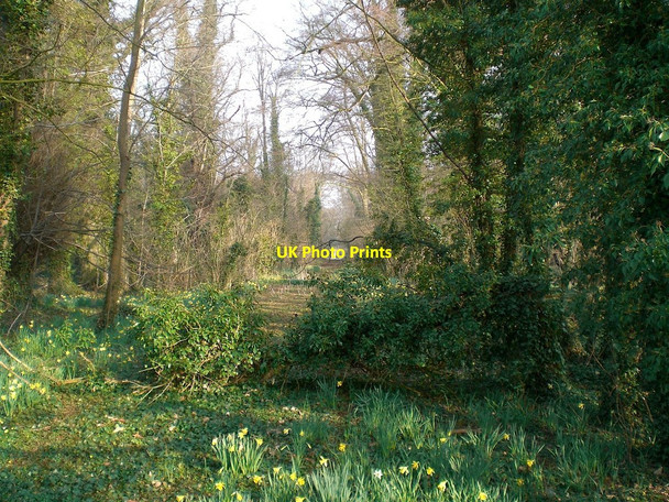 Photo 6"x4" View through the gates at Denton Manor Denton\/SK8632 c2009