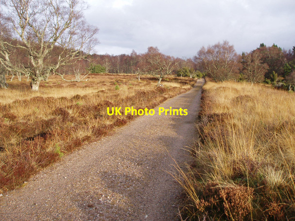Photo 6"x4" General Wade's Military Road near Sluggan Bridge Sluggan c2010