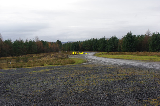 Photo 6"x4" Military road Elsdon\/NY9393 c2010