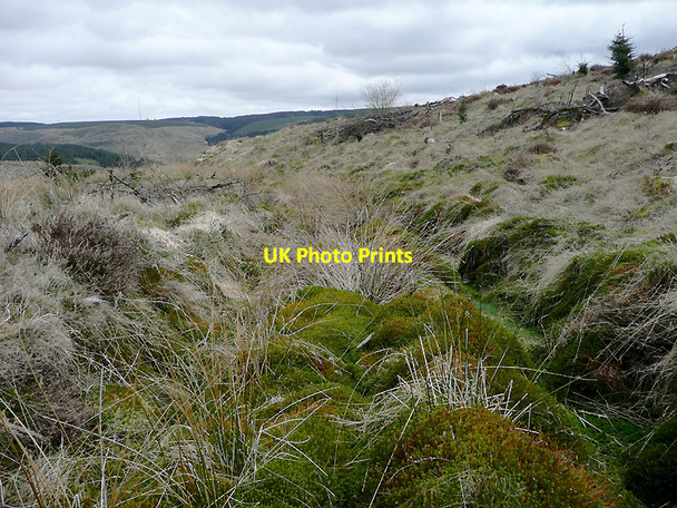 Photo 6"x4" Tywi Forest track on Cnwch Rhiwhalog, Ceredigion Cnwch Rhiwhalog c2010