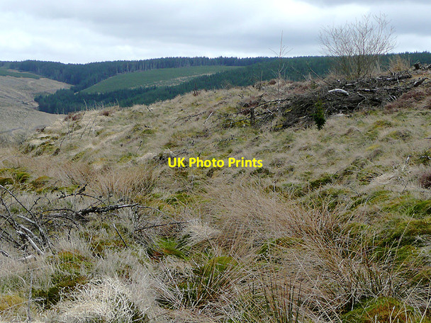 Photo 6"x4" Tywi Forest track on Cnwch Rhiwhalog, Ceredigion Cnwch Rhiwhalog c2010 P1