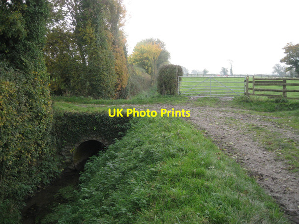 Photo 6"x4" Rushen Gout Littleton-upon-severn c2010